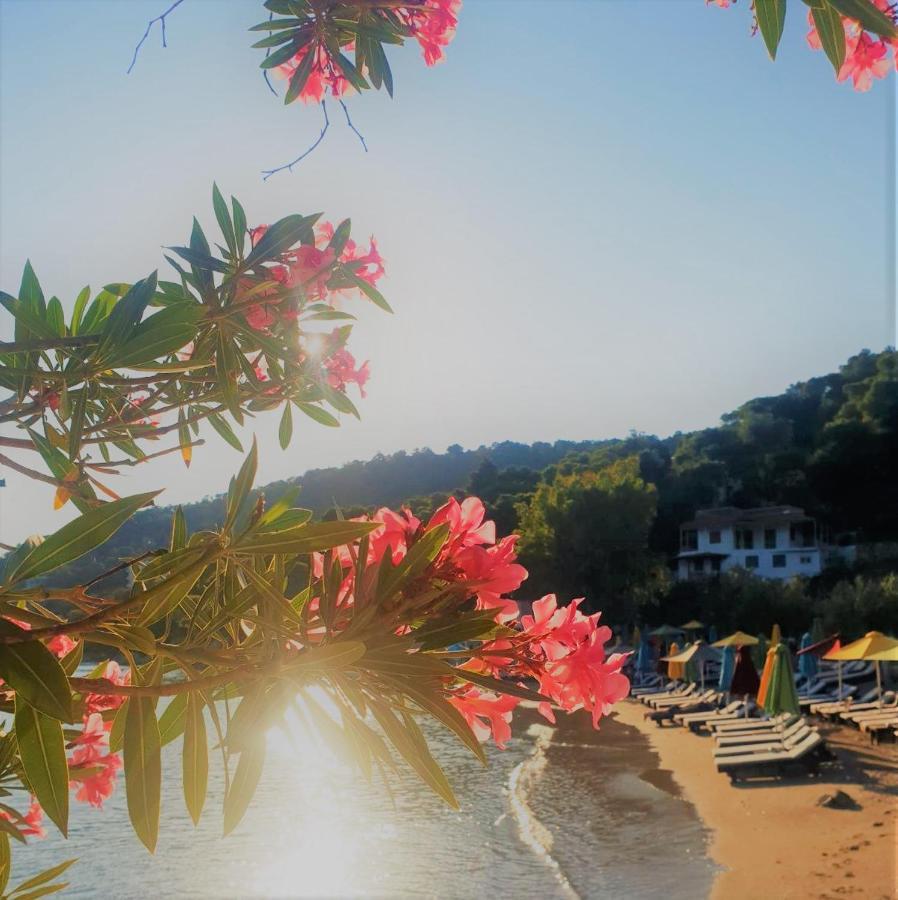 Aquarella - Dreamy View Apartment In Centre Of Poros Poros Town Extérieur photo